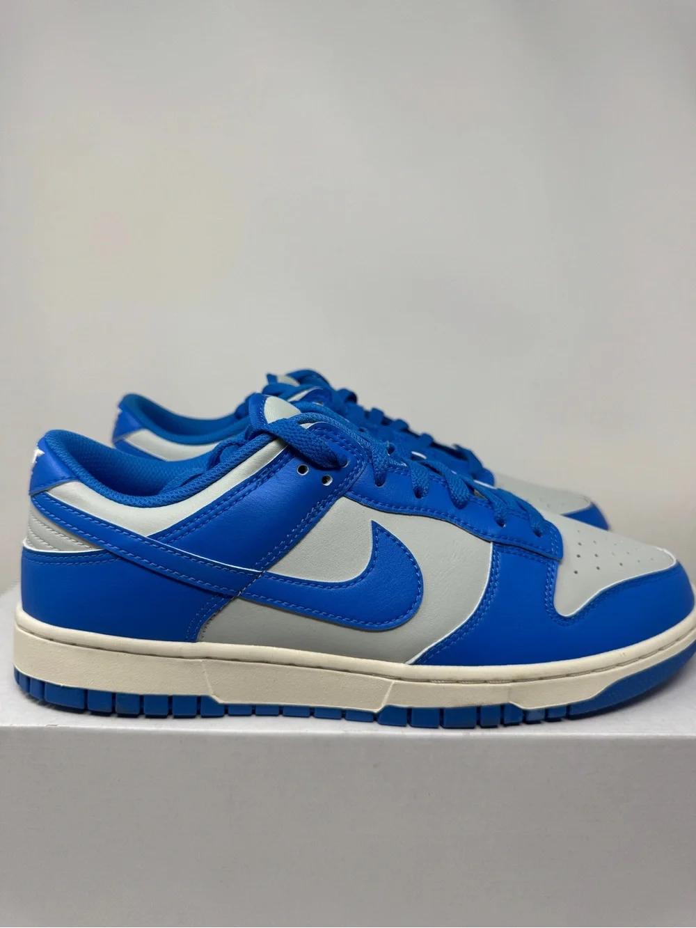 Mens Nike Dunks